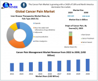 Cancer Pain Market is expected to reach USD 8.26 Billion by 2030 at a CAGR of 4.8 percent