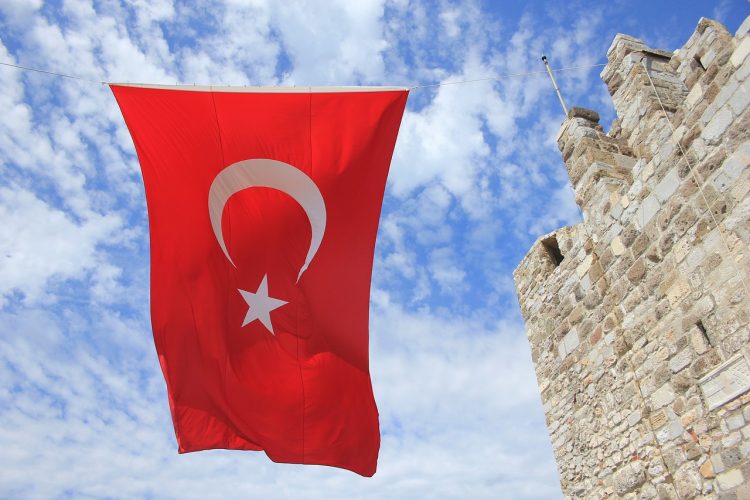 A Profile of the Republic of Türkiye: Geography, Climate, History, Politics, Demographics, Culture, Health, Education, Foreign Relations, and Opportunities.